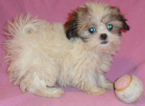 Friend and Family Friday