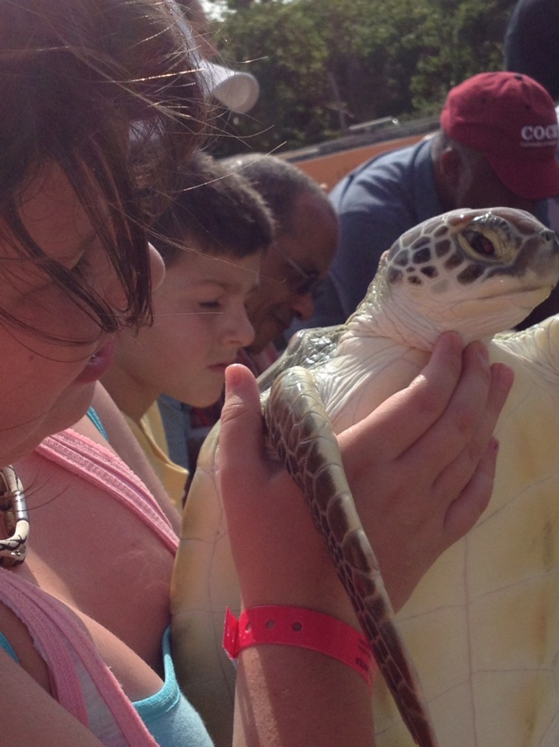 Missing Cayman Island 